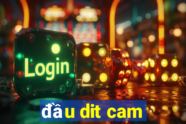 đầu dit cam