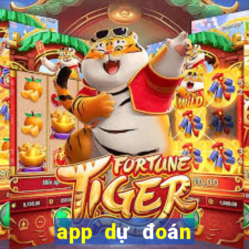 app dự đoán tiến lên