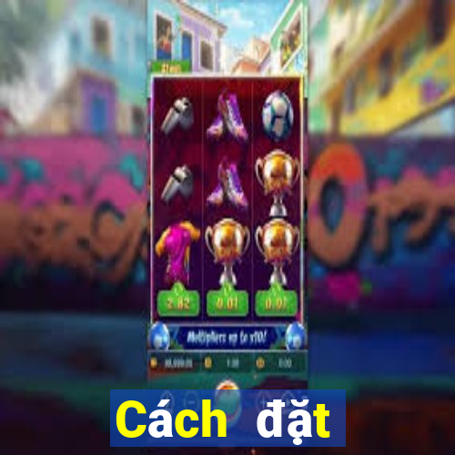 Cách đặt cược XSQT ngày 31