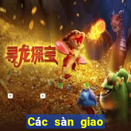 Các sàn giao dịch lừa đảo