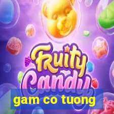 gam co tuong