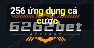 256 ứng dụng cá cược