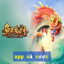 app cá cược bóng đá