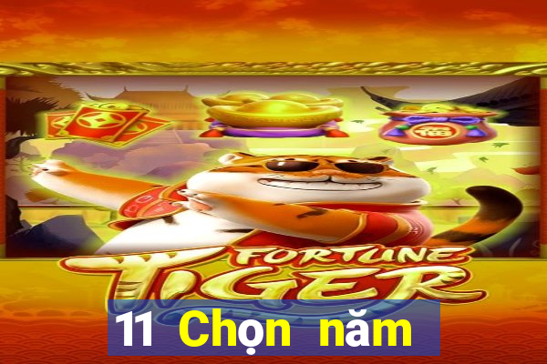 11 Chọn năm trang web