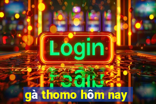 gà thomo hôm nay