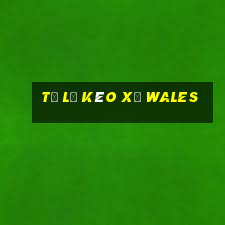 tỷ lệ kèo xứ wales