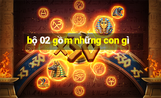 bộ 02 gồm những con gì