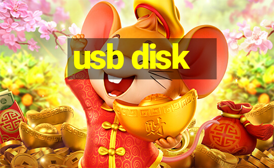 usb disk