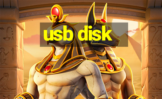 usb disk