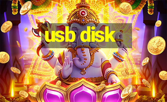 usb disk