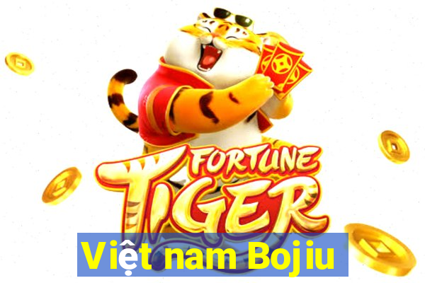 Việt nam Bojiu