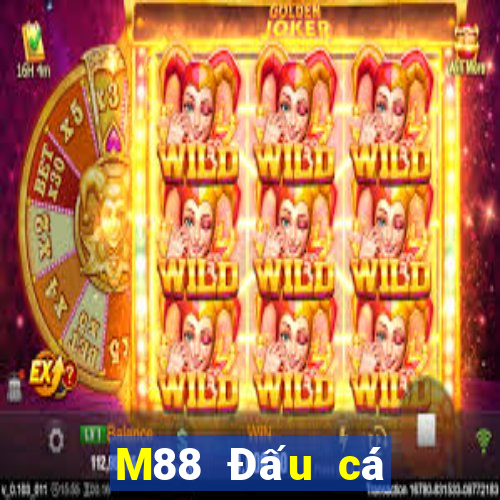 M88 Đấu cá cào vé số