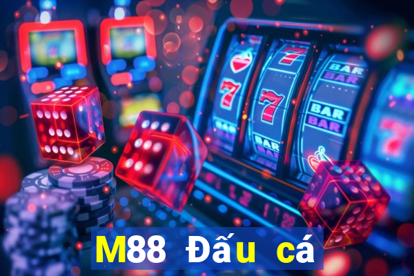 M88 Đấu cá cào vé số