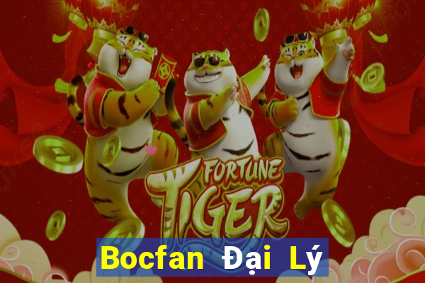 Bocfan Đại Lý Cấp 1 Game Bài