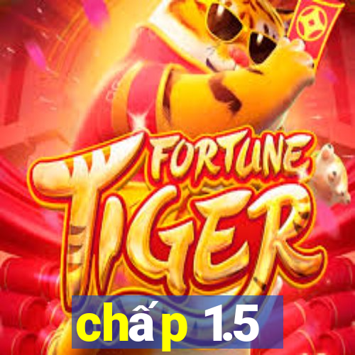 chấp 1.5