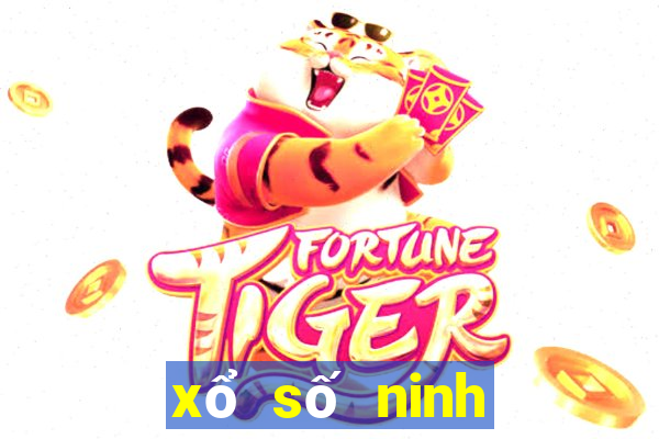 xổ số ninh thuận 8 2 2024