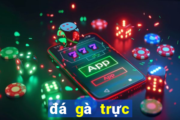 đá gà trực tuyến casino