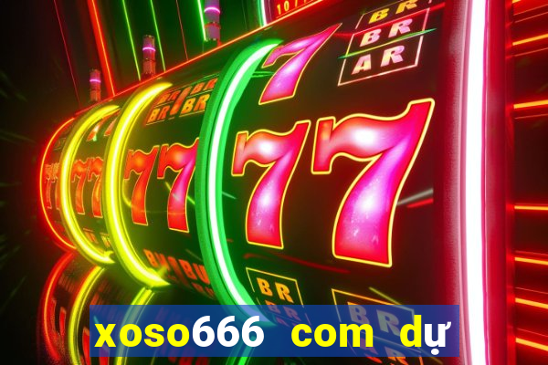 xoso666 com dự đoán xsmb