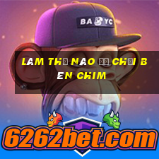 Làm thế nào để chơi bên chim