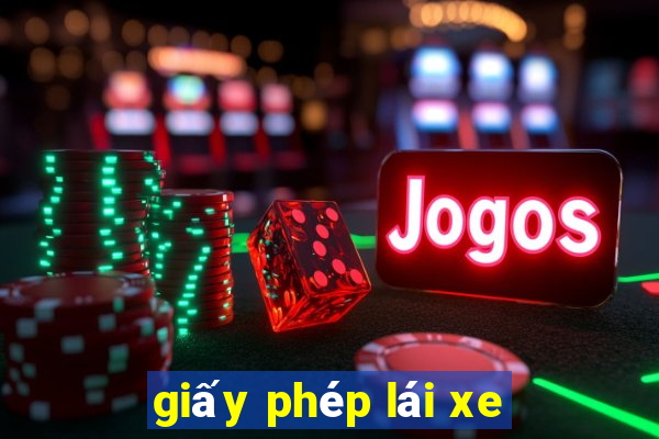 giấy phép lái xe