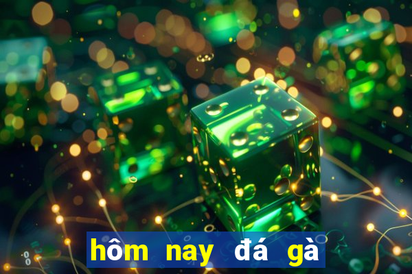 hôm nay đá gà màu gì tốt nhất