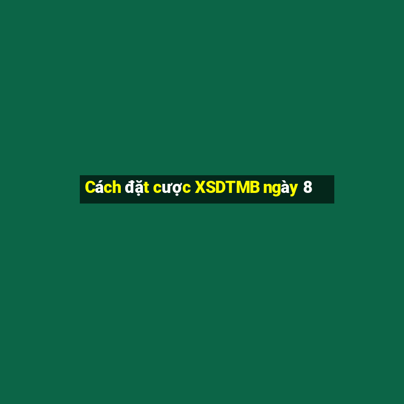 Cách đặt cược XSDTMB ngày 8