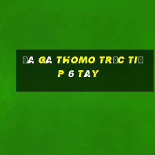 đá gà thomo trực tiếp 6 tây