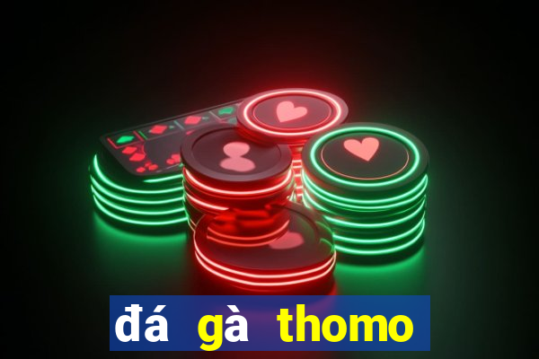 đá gà thomo trực tiếp 6 tây