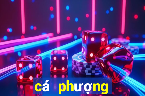 cá phượng hoàng lửa