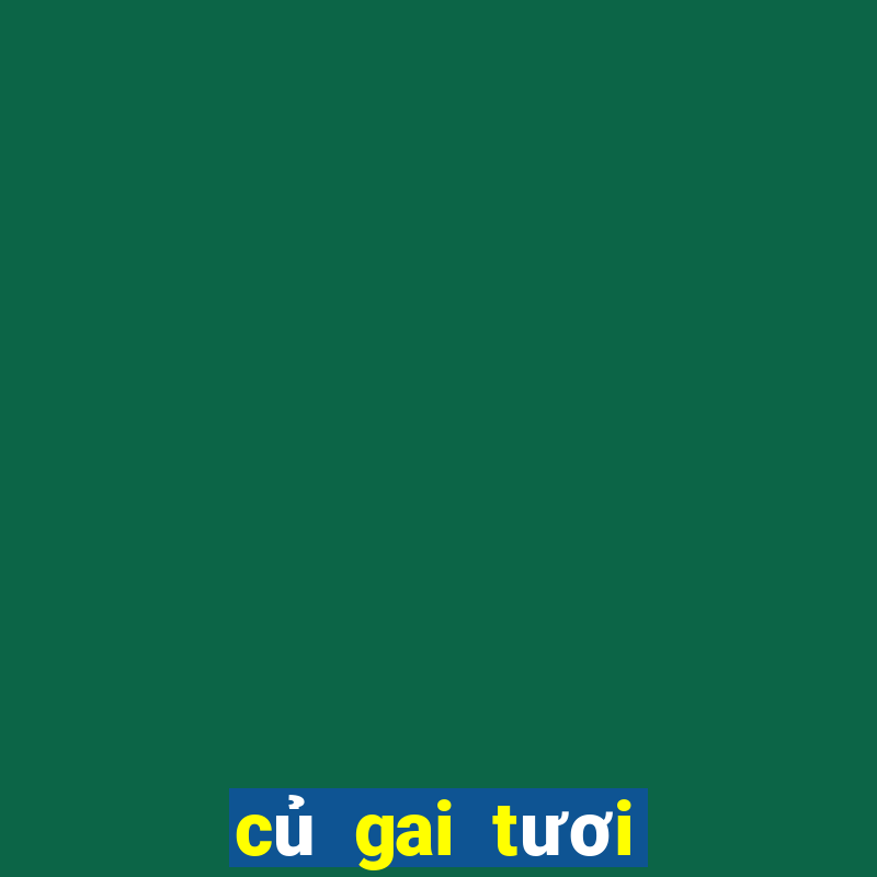 củ gai tươi có tác dụng gì