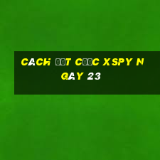 Cách đặt cược XSPY ngày 23