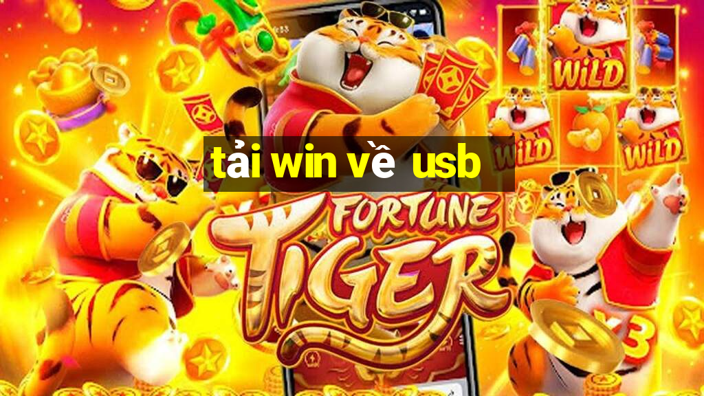 tải win về usb