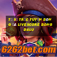 tỷ số trực tuyến bóng đá livescore bongdalu