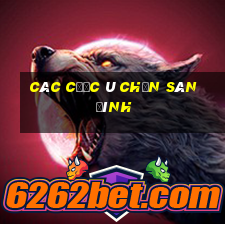 các cước ù chắn sân đình