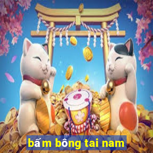 bấm bông tai nam