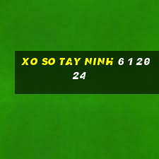 xo so tay ninh 6 1 2024