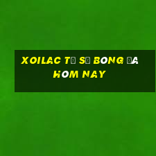 xoilac tỷ số bóng đá hôm nay