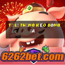 tỷ lệ thắng kèo bóng đá