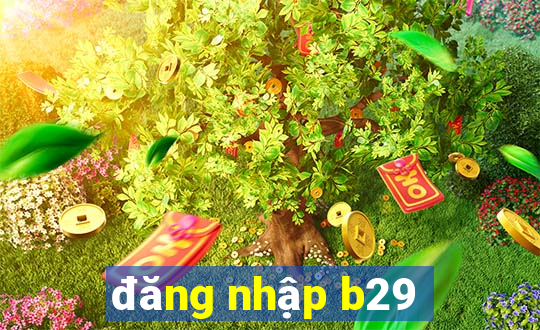 đăng nhập b29