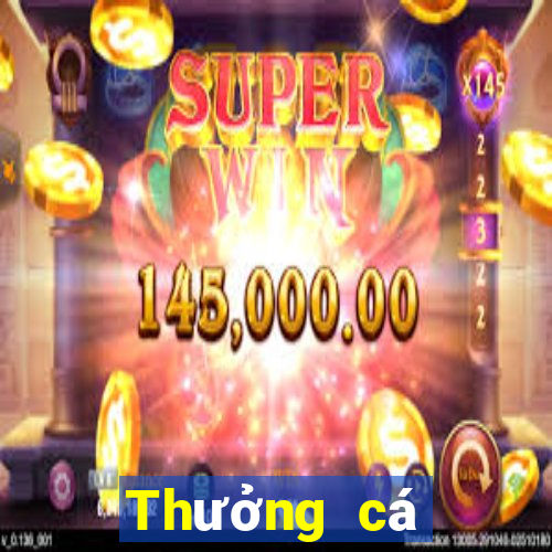 Thưởng cá cược bóng đá