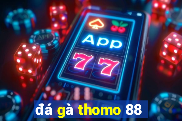 đá gà thomo 88