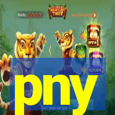 pny