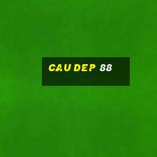 cau dep 88