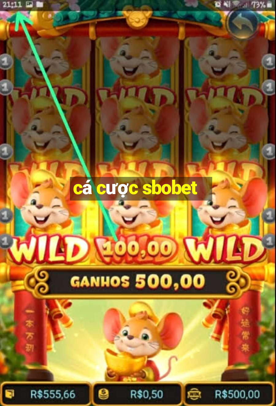 cá cược sbobet