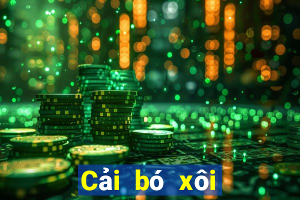 Cải bó xôi trò chơi giải trí