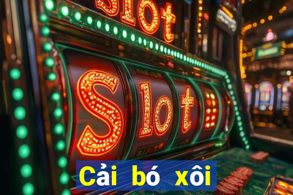 Cải bó xôi trò chơi giải trí