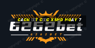 Cách đặt cược XSND ngày 7