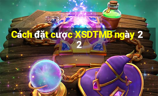 Cách đặt cược XSDTMB ngày 22