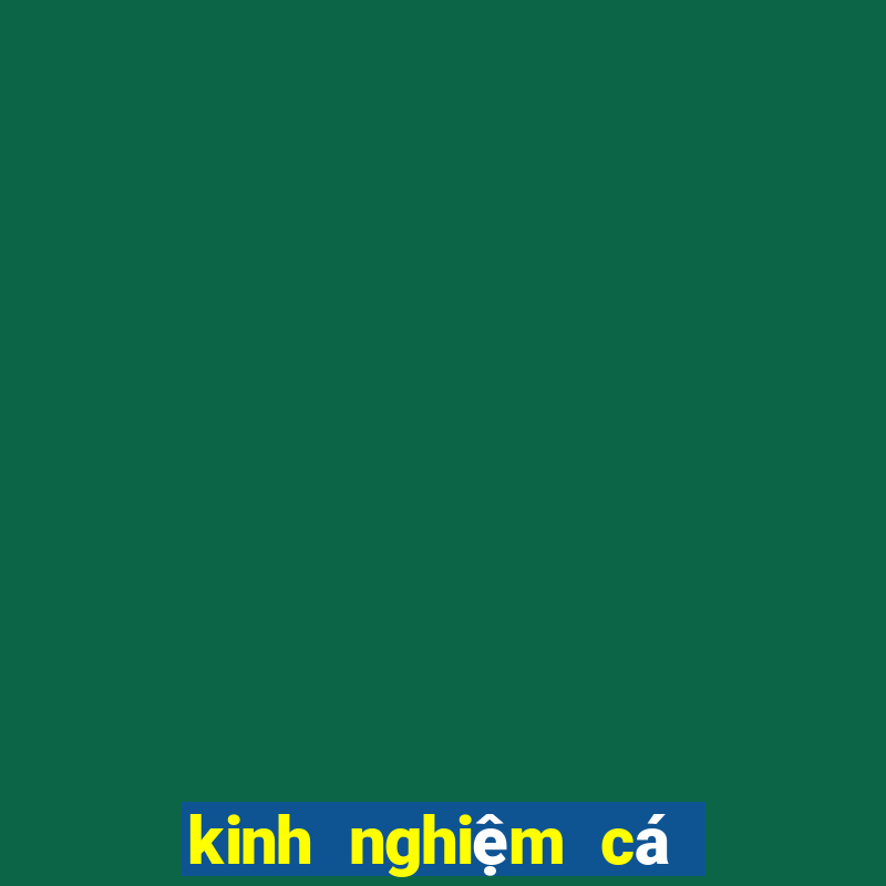 kinh nghiệm cá độ bóng đá