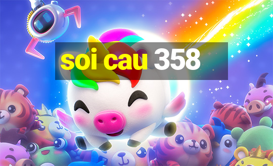 soi cau 358